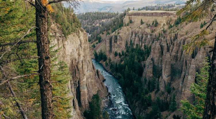 PERC – Environmental Thought Leadership Campaign